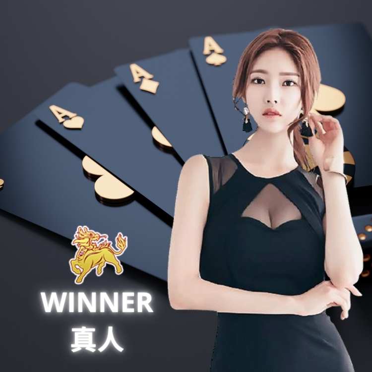 WINNER真人 (牛牛 Niu Niu)